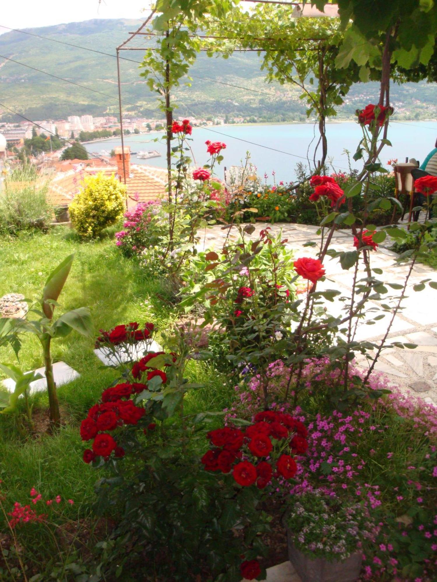 Apartments Villa Saray Ohrid Exterior photo