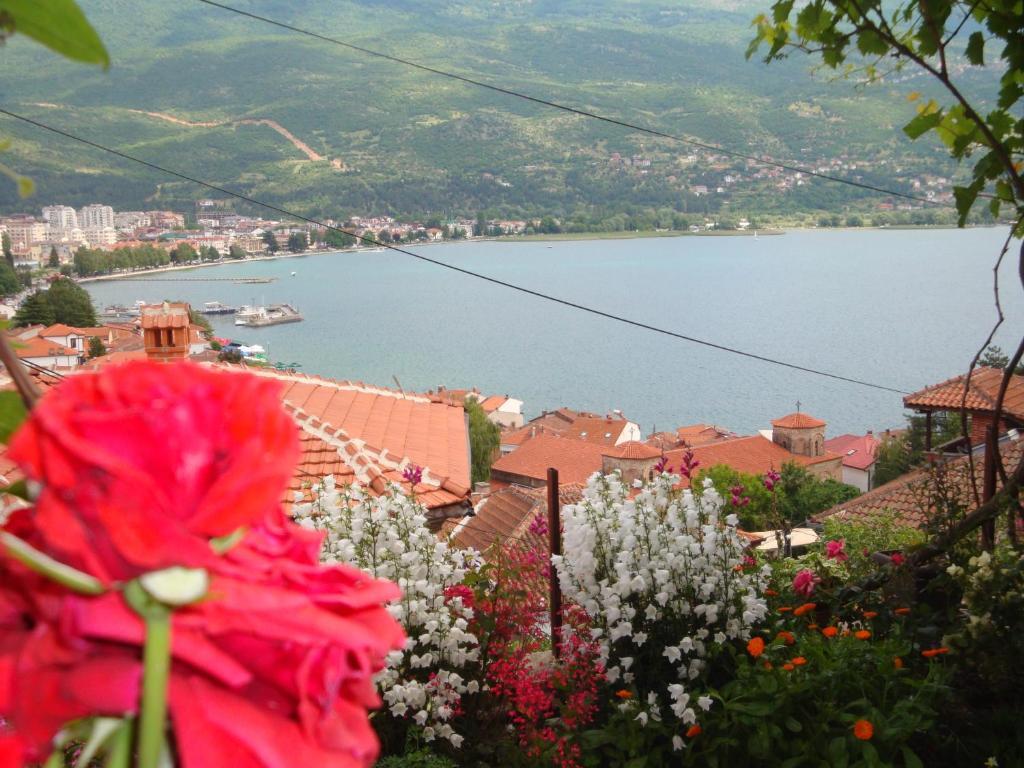 Apartments Villa Saray Ohrid Exterior photo